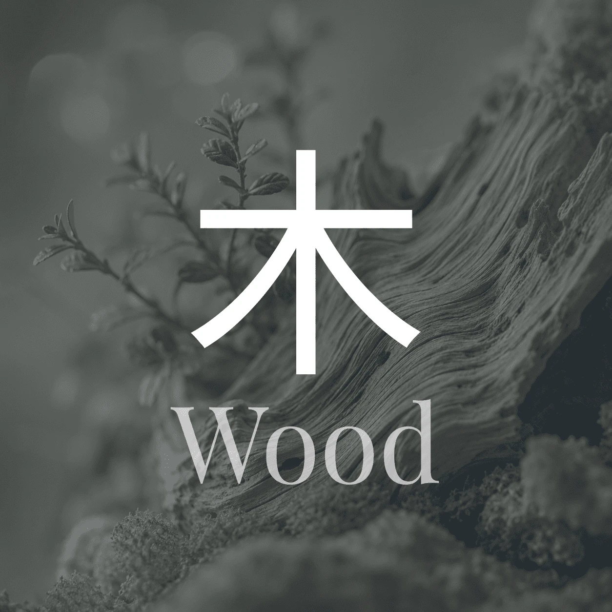 木屬性香方：碧木
